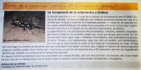 17_salidasalamandra.jpg